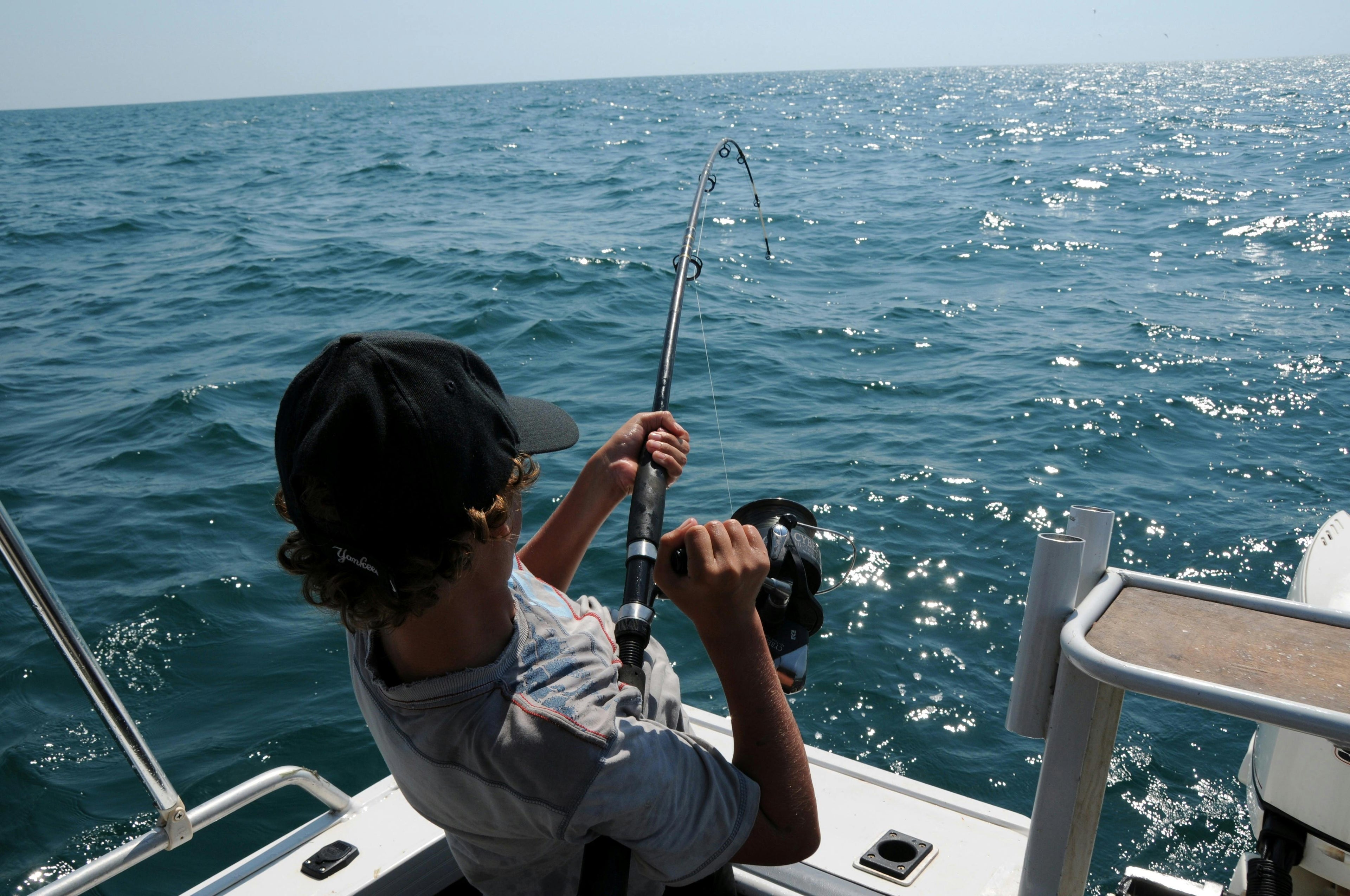 On the Fly