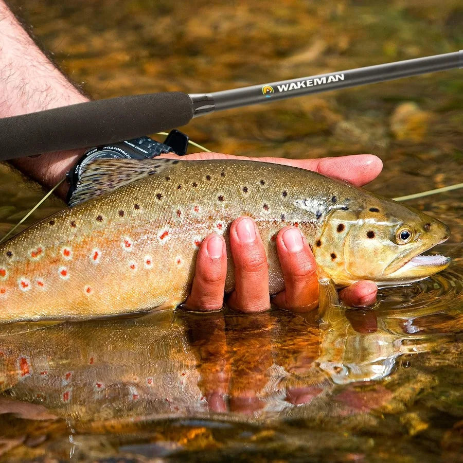 Fly Fishing Rod and Reel Combo, Carrying Case
