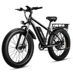 AMYET Electric Bike EB26 Adults Electric Bicycle P
