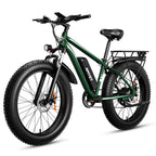 AMYET Electric Bike EB26 Adults Electric Bicycle P