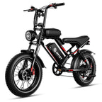 Men 2000W Dual Motor Bicycle 48V 25AH Battery